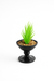 Mini Artificial Grass in Black Pedestal Pot – Elegant Contemporary Touch