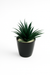 Artificial Agave Succulent in Matte Black Pot – Modern Green Accent