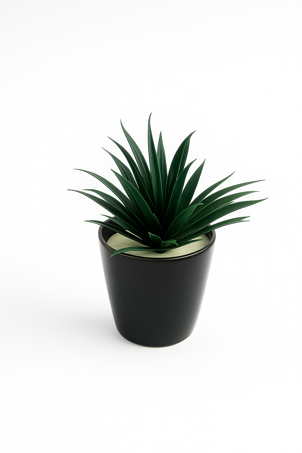 Artificial Agave Succulent in Matte Black Pot – Modern Green Accent