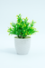 Artificial Green Foliage in Embossed White Ceramic Pot