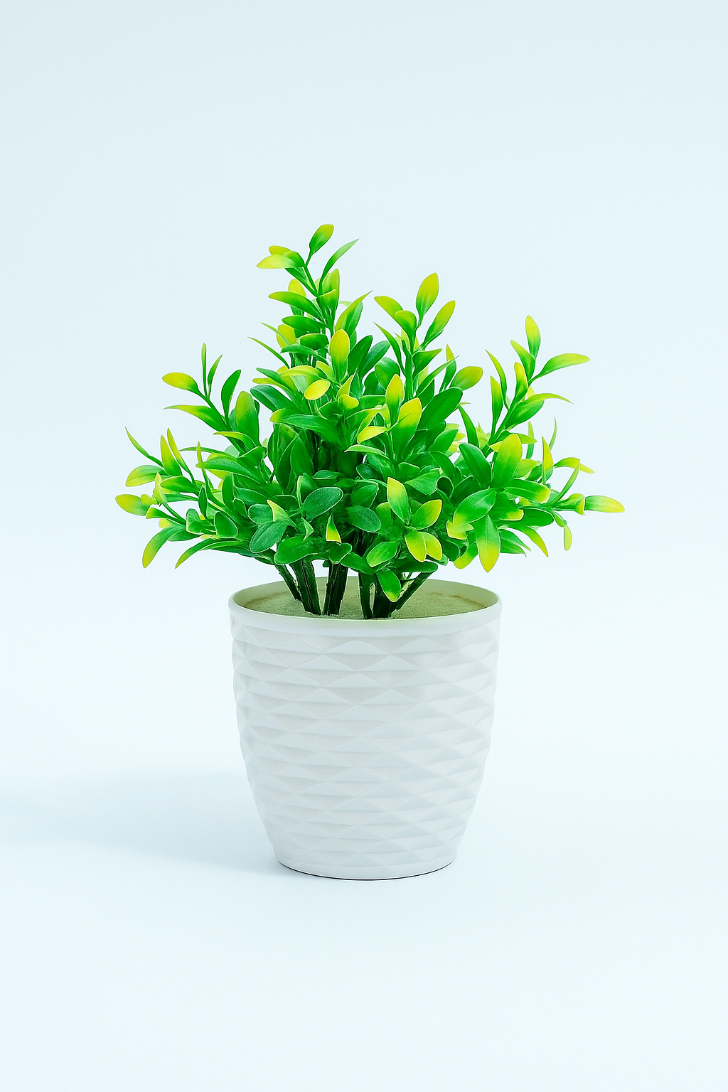 Artificial Green Foliage in Embossed White Ceramic Pot