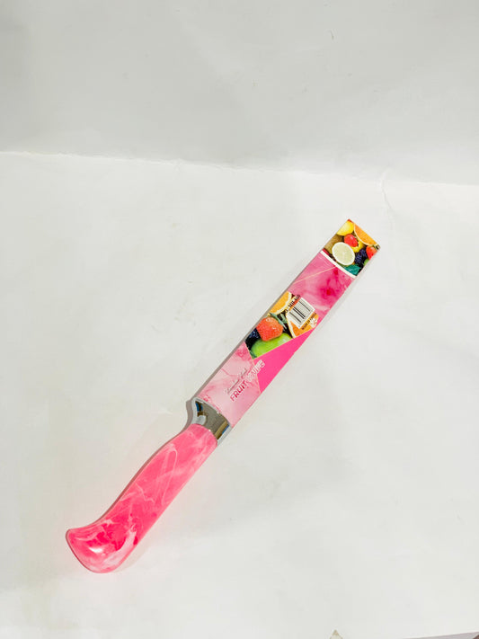 Big Kitchen Knife-with Plastic Holder