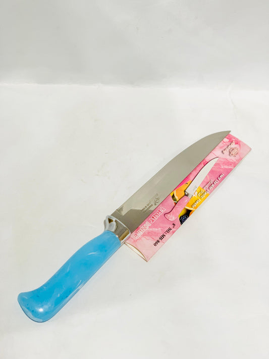 Big Kitchen Knife-with Plastic Holder